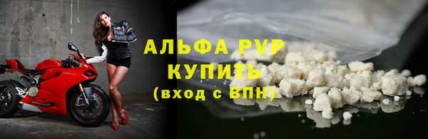 прущие грибы Беломорск