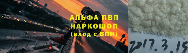 прущие грибы Беломорск