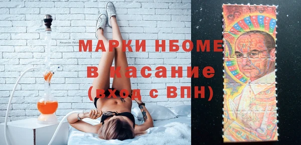 прущие грибы Беломорск