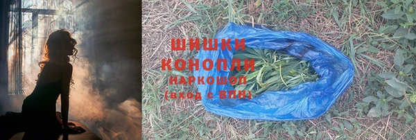 прущие грибы Беломорск