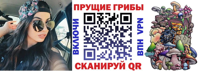 Галлюциногенные грибы мицелий  даркнет клад  Бородино  omg ссылки 